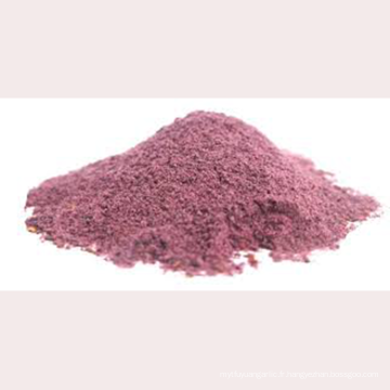 Poudre de chou violet pur